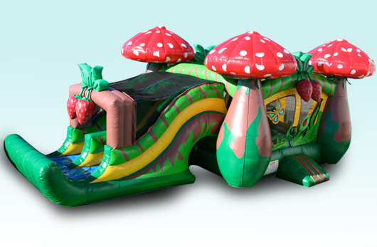 inflatable combo jumpers and bounce houses rentals